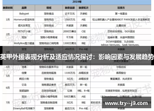 英甲外援表现分析及适应情况探讨：影响因素与发展趋势