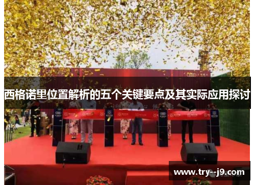 西格诺里位置解析的五个关键要点及其实际应用探讨