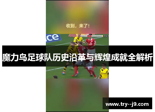 魔力鸟足球队历史沿革与辉煌成就全解析