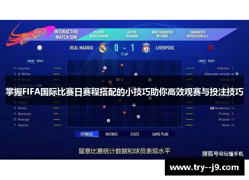 掌握FIFA国际比赛日赛程搭配的小技巧助你高效观赛与投注技巧 掌握FIFA国际比赛日赛程搭配的小技巧助你高效观赛与投注技巧