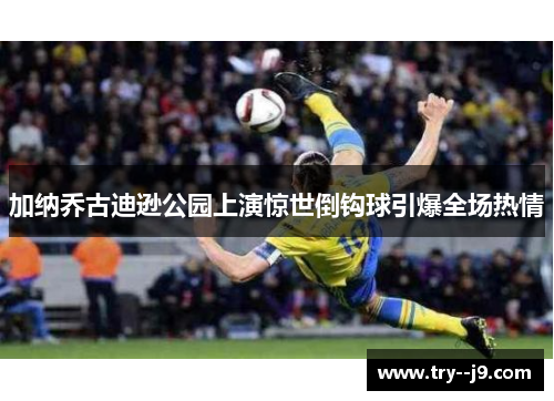 加纳乔古迪逊公园上演惊世倒钩球引爆全场热情